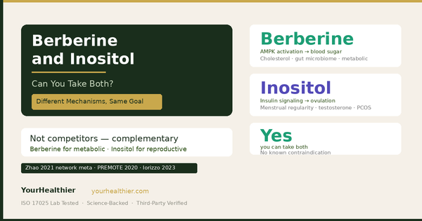 Berberine and Inositol: Can You Take Both? (2026)