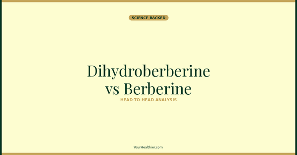 Dihydroberberine vs Berberine – YourHealthier Science-Backed Guide
