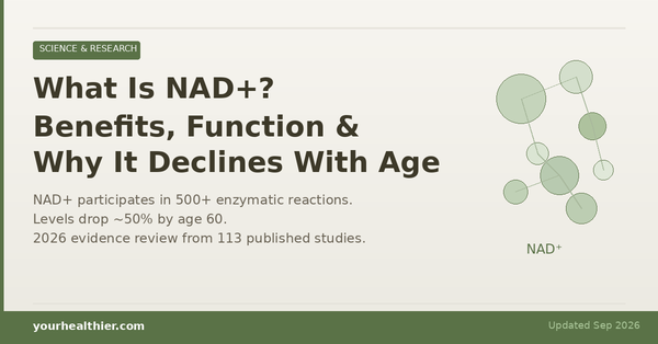 What Is NAD+? Benefits, Function & Why It Declines With Age – YourHealthier Science-Backed Guide