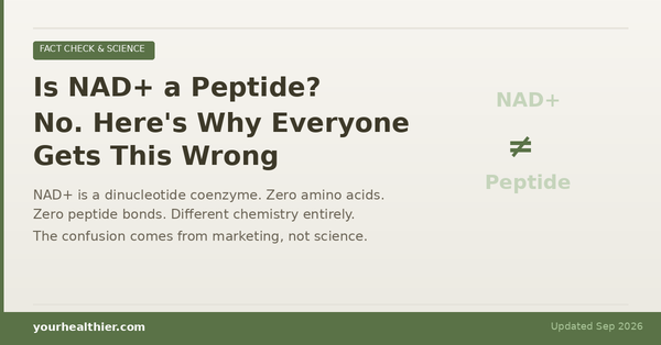 Is NAD+ a Peptide? No — NAD+ is a dinucleotide coenzyme, not a peptide. YourHealthier fact check.