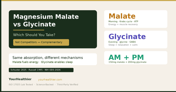 Magnesium Malate vs Glycinate: Which Should You Take? (2026)