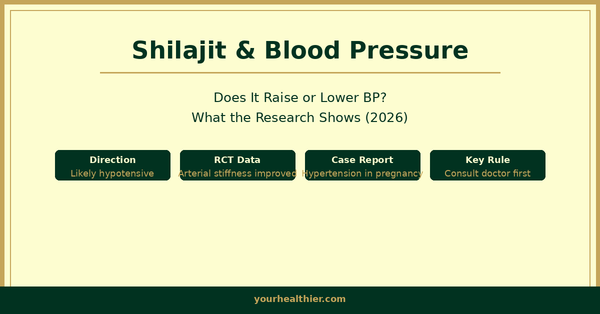 Does shilajit raise or lower blood pressure? Evidence review by yourhealthier.com