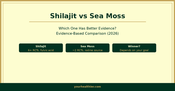 Shilajit vs sea moss — what is shilajit and sea moss comparison by yourhealthier.com