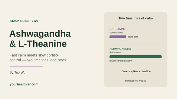 Ashwagandha and L-theanine stack guide 2026 cover image from yourhealthier.com