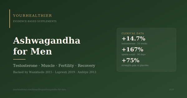 Ashwagandha benefits for men including testosterone increase, muscle strength, sperm count improvement, and KSM-66 dosage guide