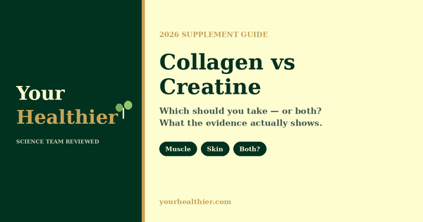 Collagen vs creatine 2026 supplement comparison guide by YourHealthier