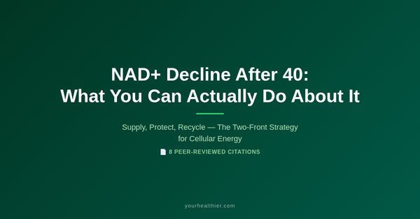 NAD+ Decline After 40: What You Can Actually Do About It — yourhealthier.com