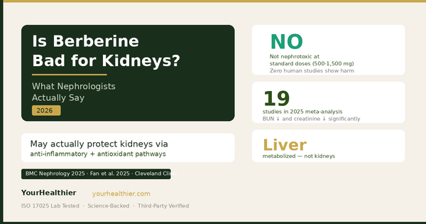 Is Berberine Bad for Kidneys? What Nephrologists Say (2026)