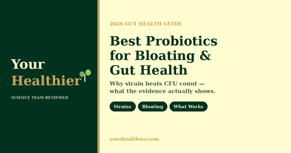 Best probiotics for bloating and gut health 2026 evidence guide by YourHealthier