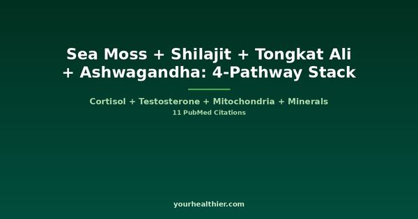 4-pathway adaptogen stack guide