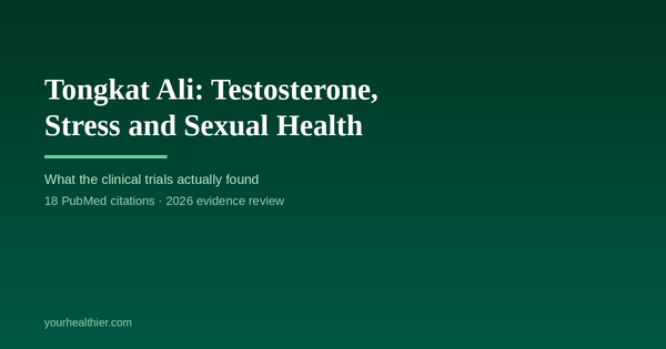 Tongkat Ali: Testosterone, Stress and Sexual Health | yourhealthier.com